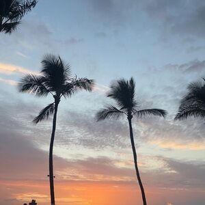 Meet your Posher, Kat